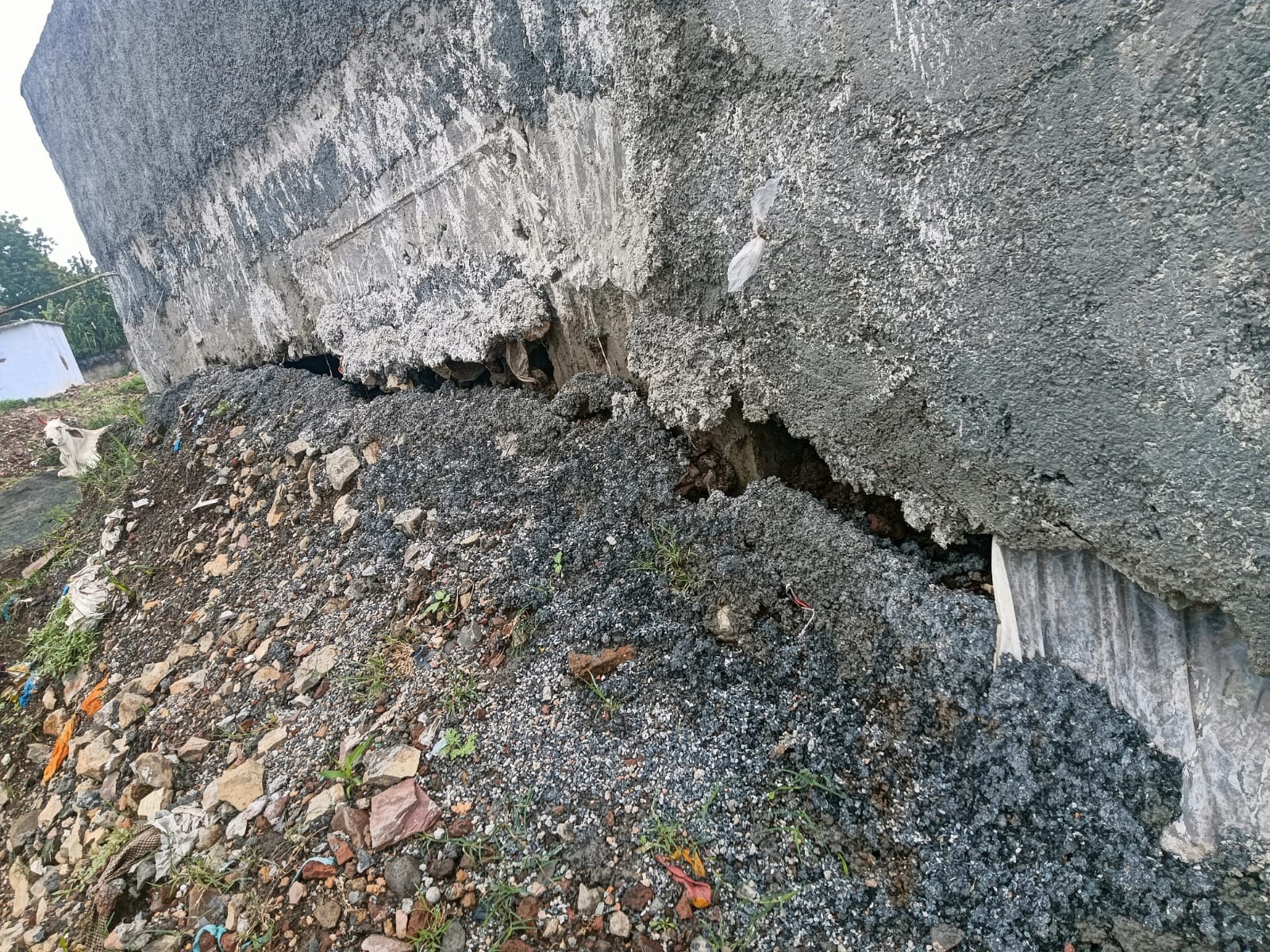 लगातार बारिश से तालाब हुआ लबालब लेकिन जलभराव क्षमता हुई कम... विकास कार्यों के नाम पर तालाब की मूल संरचना को बिगाड़ रहे जिम्मेदार आने वाले वर्षों में दिखेंगे दुष्परिणाम