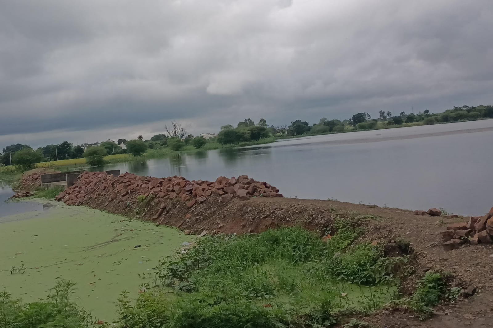 लगातार बारिश से तालाब हुआ लबालब लेकिन जलभराव क्षमता हुई कम... विकास कार्यों के नाम पर तालाब की मूल संरचना को बिगाड़ रहे जिम्मेदार आने वाले वर्षों में दिखेंगे दुष्परिणाम